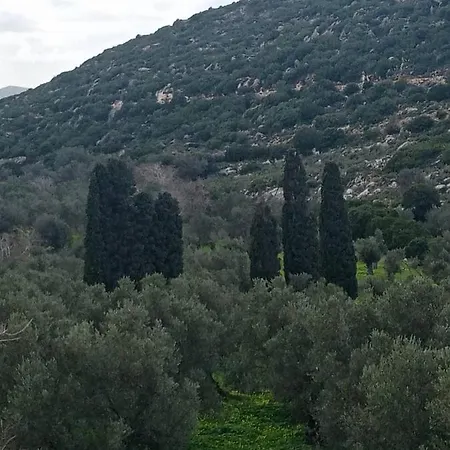 Ferienhaus Monitsia Traditional House